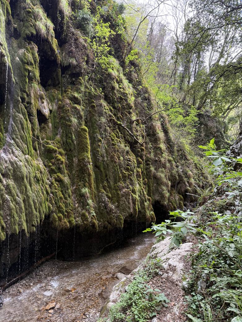 A moss-covered waterfall wall inside the Valle delle Ferriere nature reserve